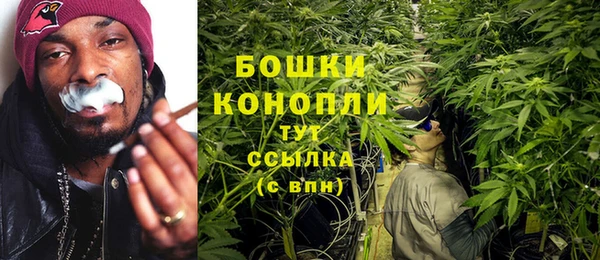 винт Аркадак
