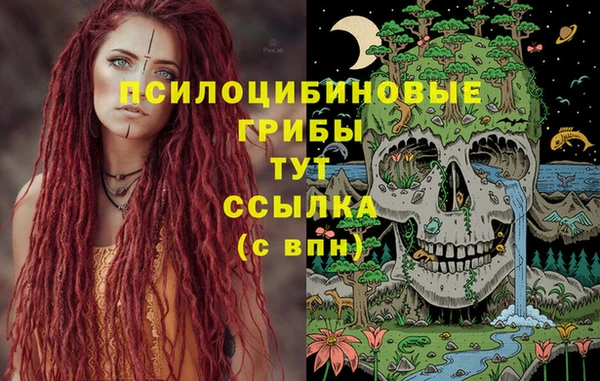 мдпв Карталы