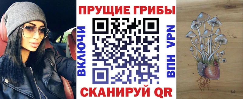где продают наркотики  Кыштым  Псилоцибиновые грибы MAGIC MUSHROOMS 